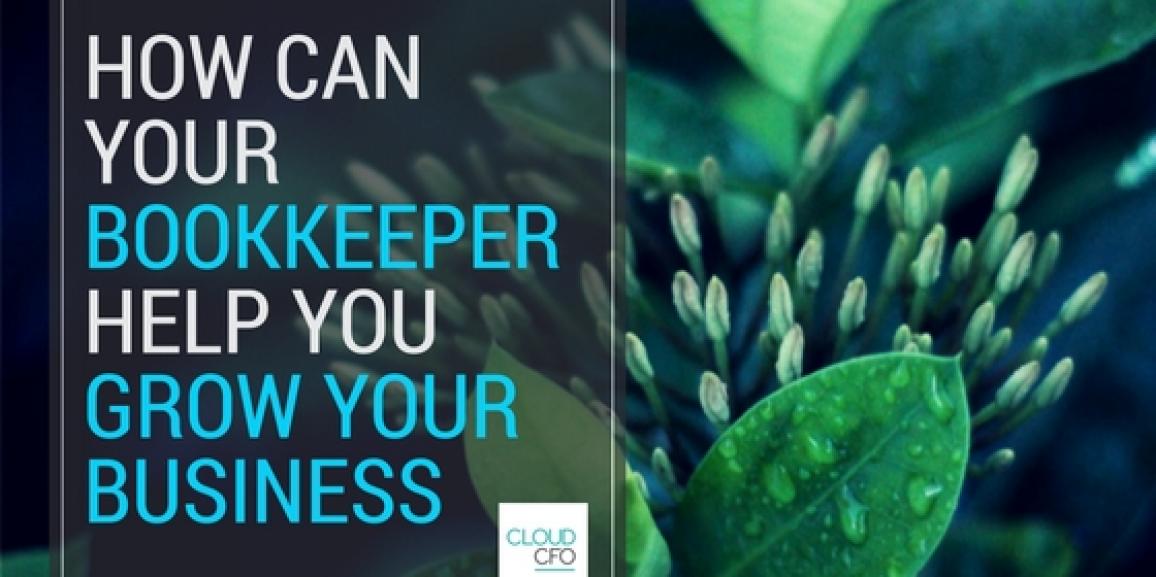 How Can Your Bookkeeper Help You Grow Your Business?